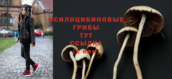 гидропоника Алзамай