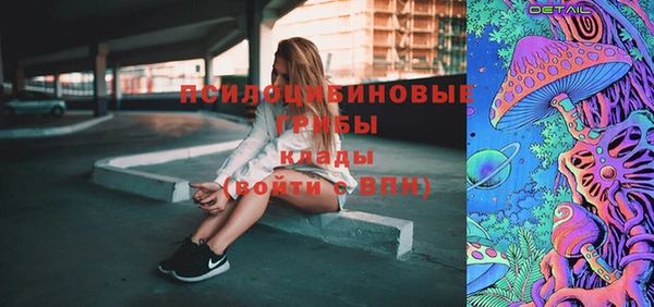 гидропоника Алзамай