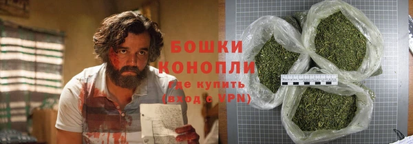 гидропоника Алзамай