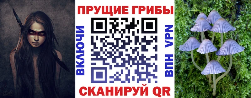 купить  цена  Новороссийск  Галлюциногенные грибы ЛСД 