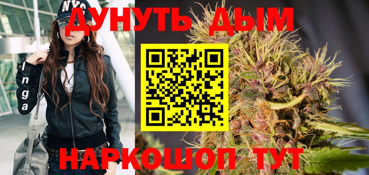 МАРИХУАНА сатива Новороссийск